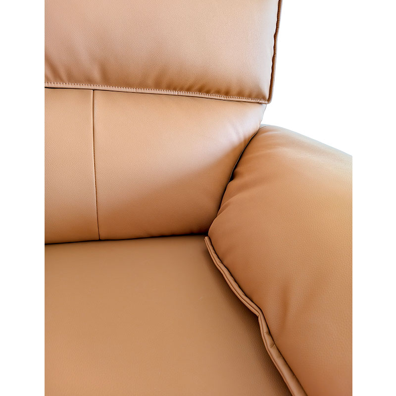 Electric Leather Sofa Bed